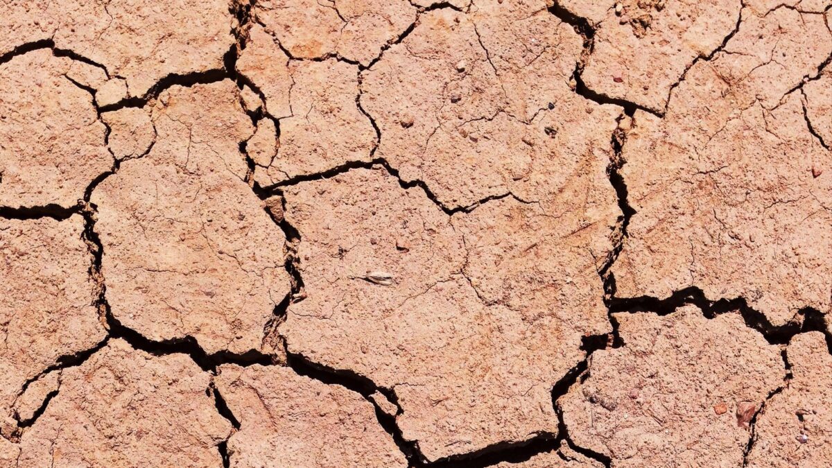 22 municípios do Acre entram no mapa federal da seca — mas o decreto não traz água