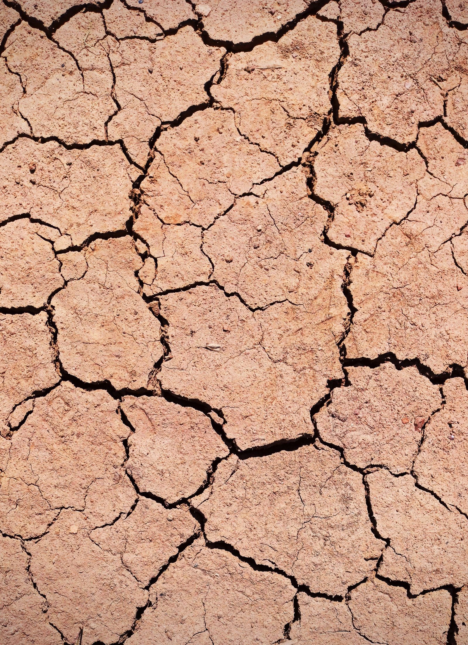 Terra rachada mostrando padrões de seca e erosão