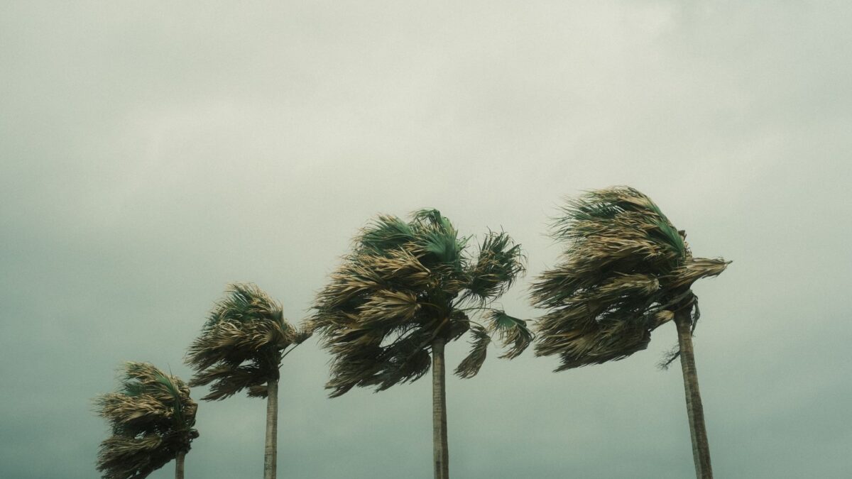 Havaí restabelece energia após o furacão Lala — e já se prepara para a próxima tempestade