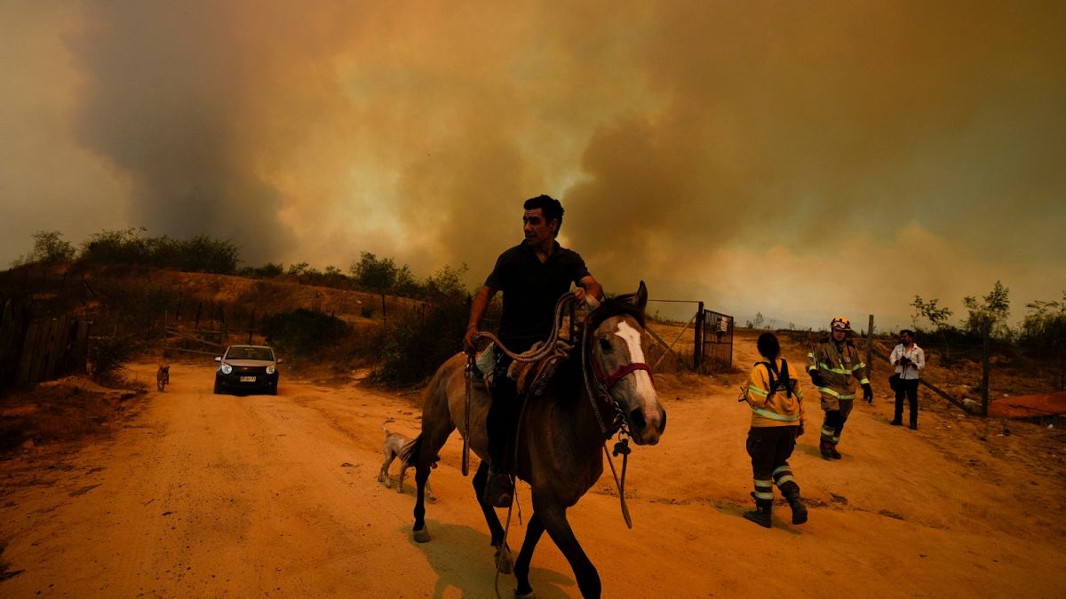 Morador foge de incêndio florestal em Viña del Mar, Chile
