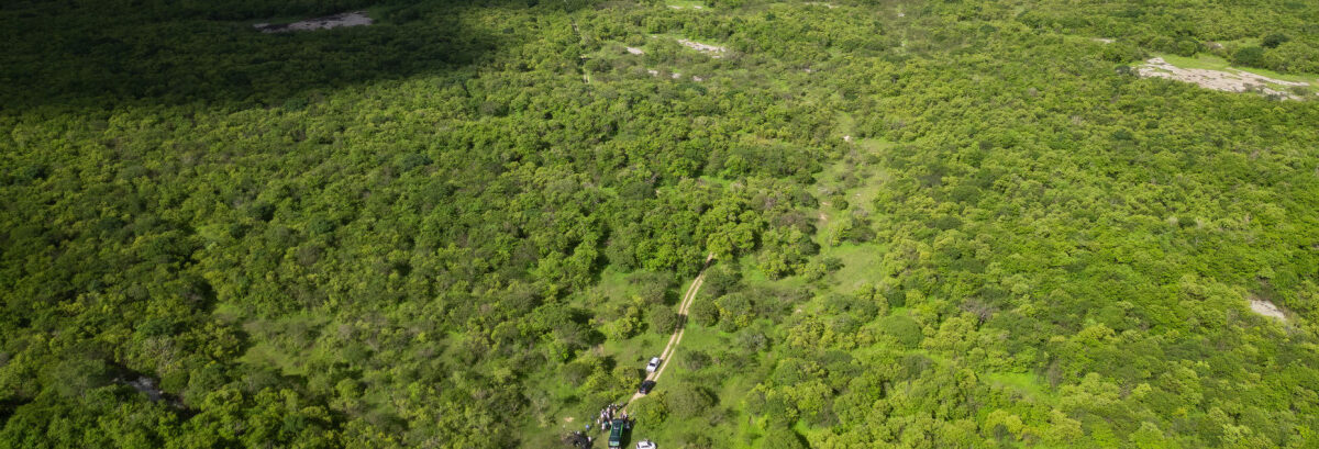 34 municípios em emergência por seca no Ceará: quando o reconhecimento federal deixa de ser notícia