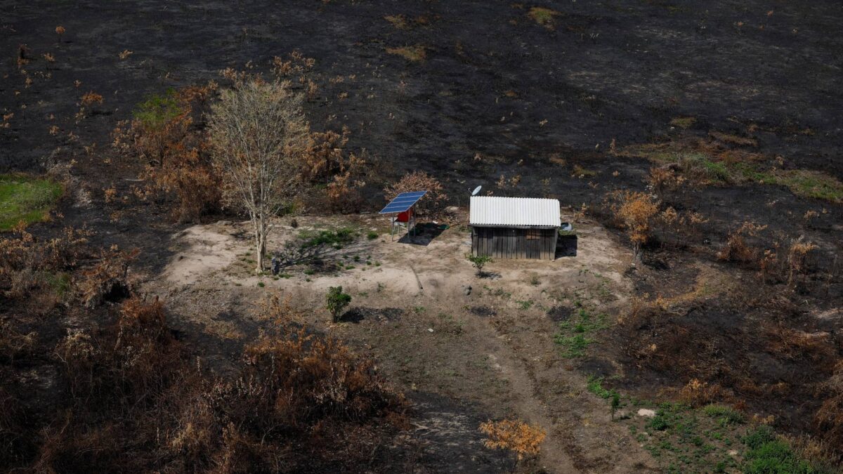 Um raio caiu dentro do parque, mas o fogo se espalhou fora dele: o pior novembro já registrado no Pantanal