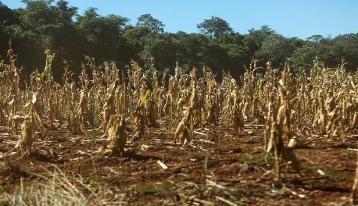 MIDR reconhece situação de emergência em 26 cidades afetadas por desastres