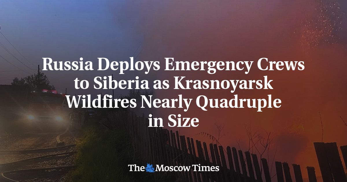 Bombeiros combatem incêndio florestal na Rússia
