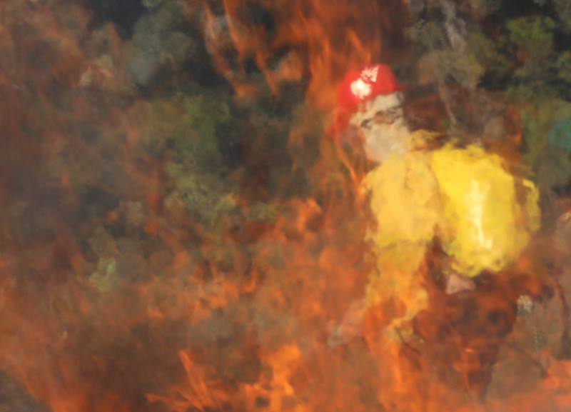 GDF decreta emergência ambiental para reforçar combate a incêndios florestais