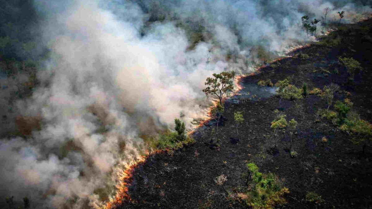 Amazônia tem pior dia de queimadas em 15 anos às vésperas da eleição: 3.358 focos em 24 horas