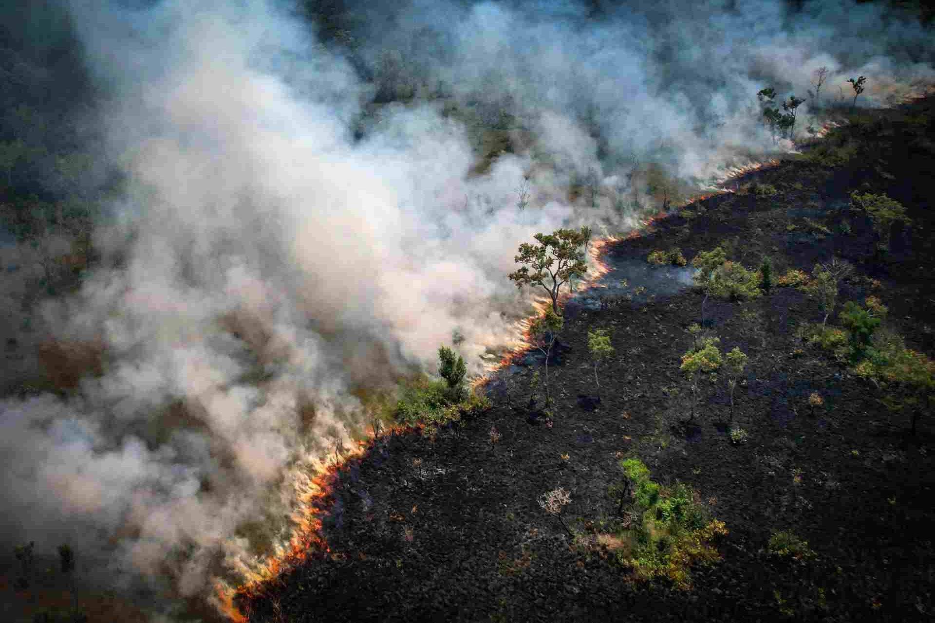 Vista aérea de área queimada na floresta amazônica, perto da Reserva Extrativista Lago do Cunia, na divisa de Rondônia e Amazonas
