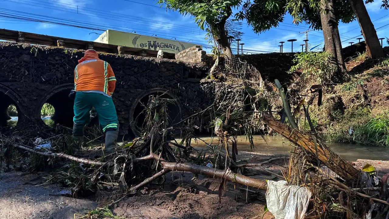 Estragos causados pelo temporal em Goiânia, com árvore caída