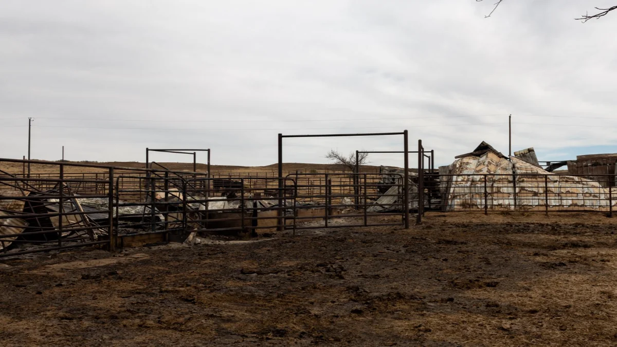 De 15 mil para 145 mil acres em nove horas: o incêndio que a pecuária do Oklahoma vai sentir por gerações
