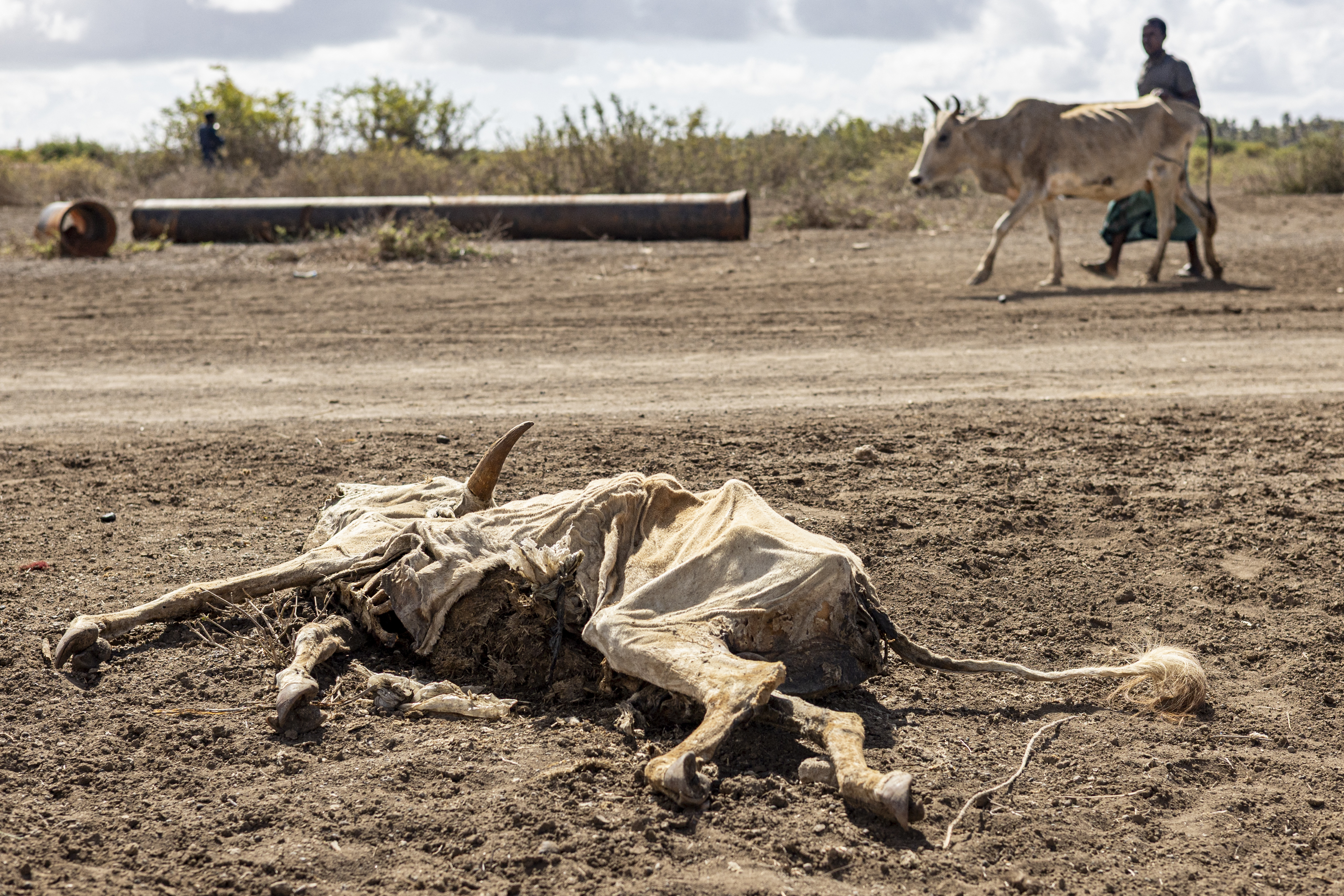 Crise de seca na Somália