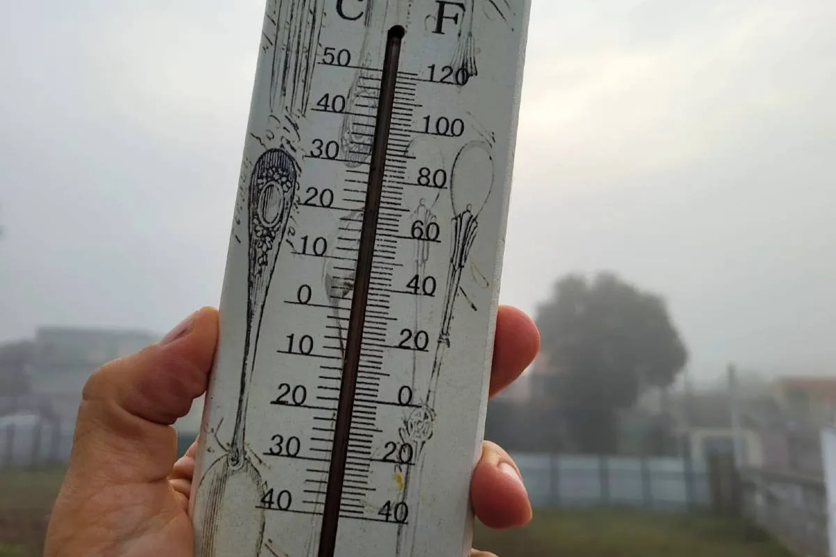 Frio intenso na região metropolitana de Curitiba