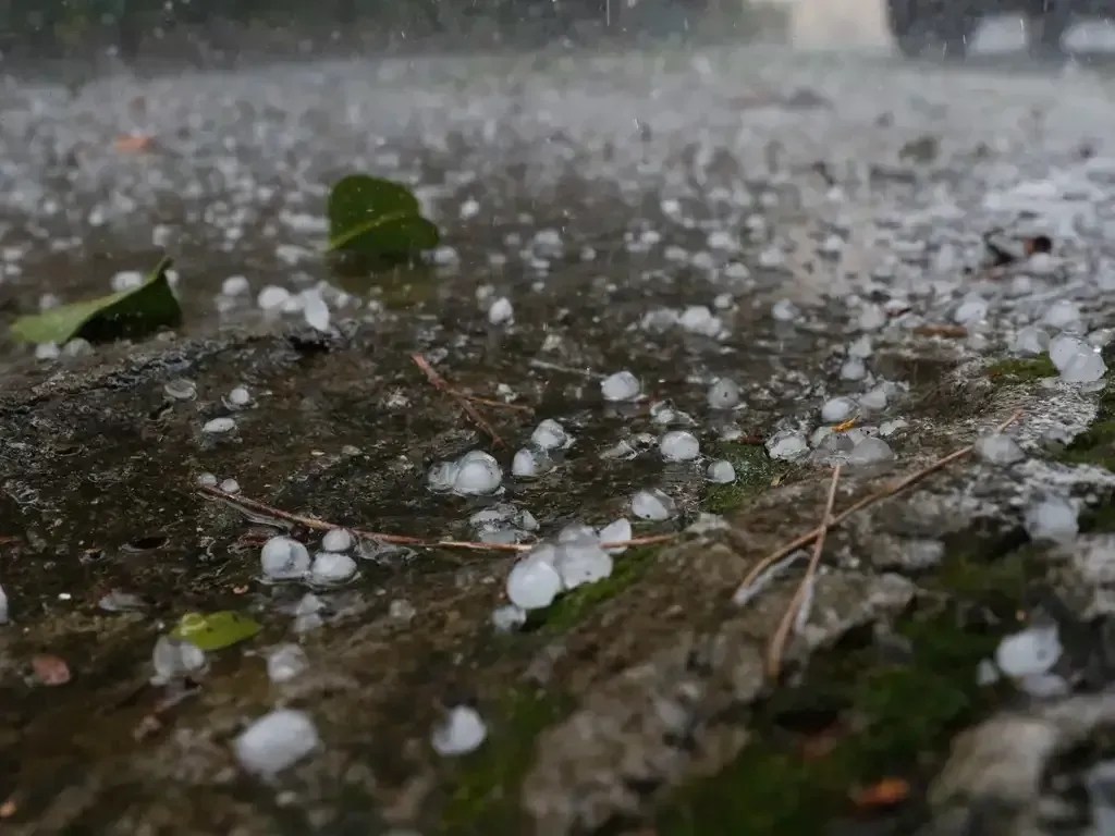 Queda de granizo em Dom Bosco, Minas Gerais
