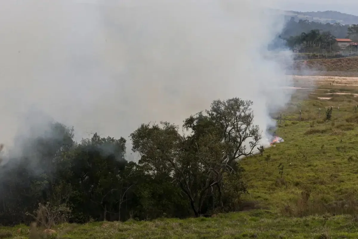 Incêndio florestal atinge municípios do interior de São Paulo em agosto de 2024