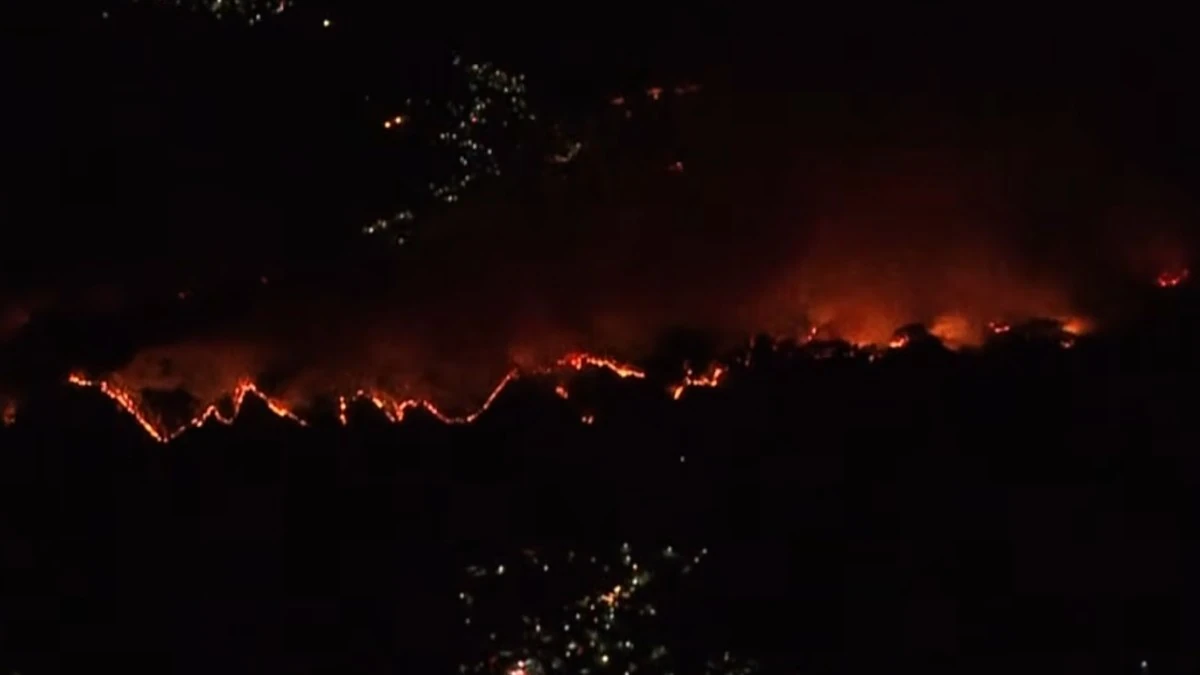 Incêndio florestal danifica estruturas em Ōtsuchi, Japão