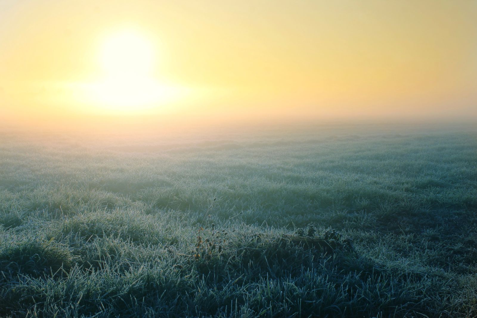 Campo coberto de geada ao amanhecer