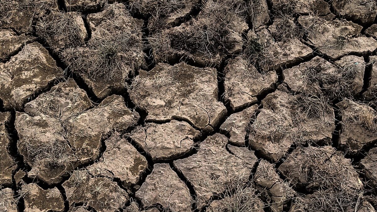 Rio Paraguai em queda e zero chuva prevista: o Pantanal seca por boletim