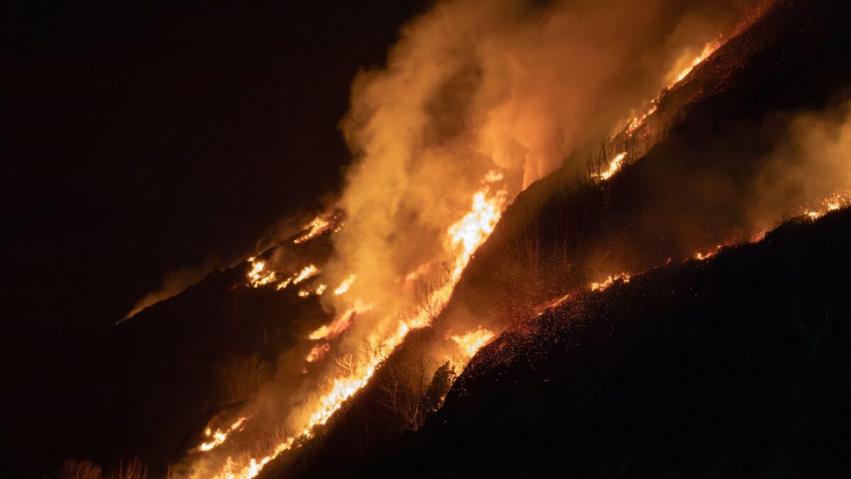 Grécia sob 15 frentes de fogo: o alerta que chega no celular dizendo para onde correr