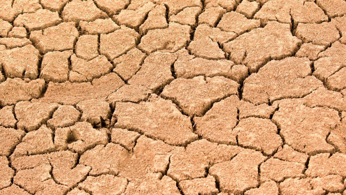 União reconhece emergência em 15 municípios: a seca é o desastre que não sai no jornal