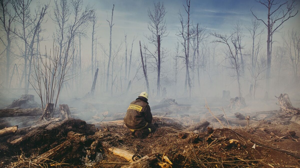 50 focos de calor em 24 horas: Mato Grosso combate incêndios em três municípios