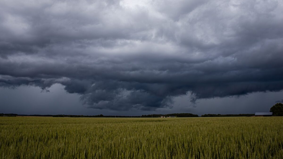 Ciclone-bomba varre o Sul com rajadas de 134 km/h: 105 municípios com danos e 228 mil imóveis sem luz