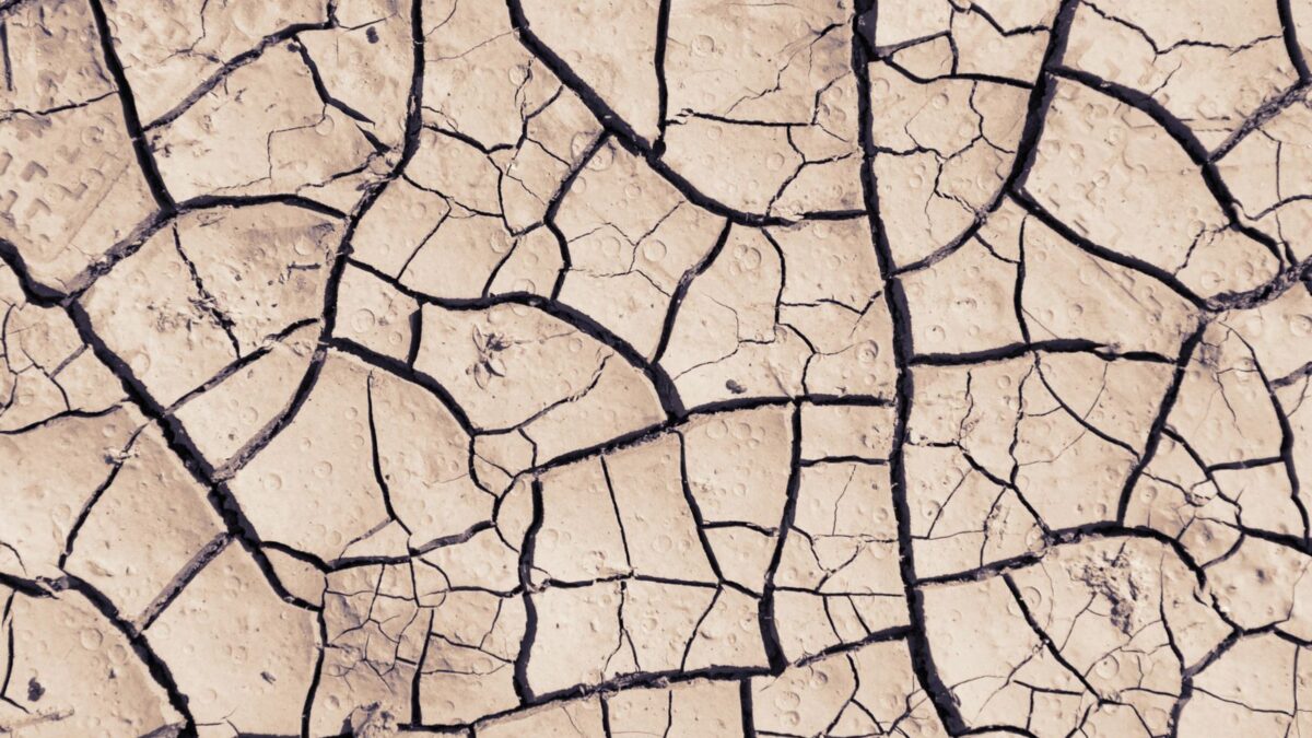 Pernambuco já sabe que vai faltar chuva: o prognóstico como ferramenta de gestão