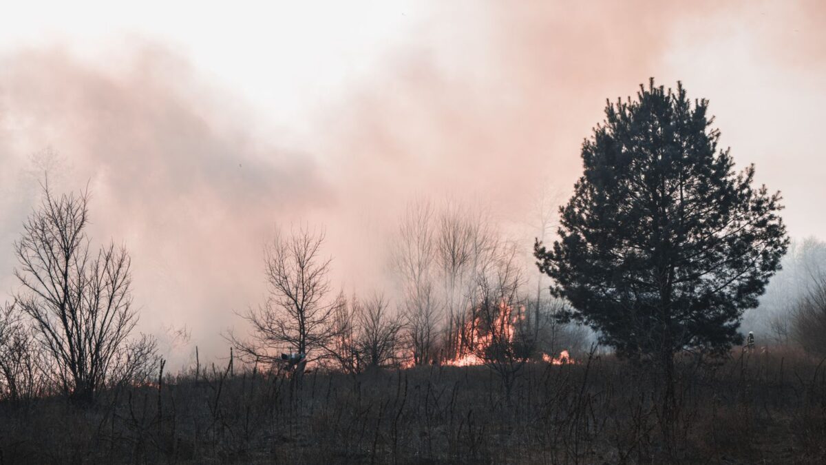 Gironde: 420 km² queimados, 224 mil evacuados — e a operação mais difícil é trazer todos de volta
