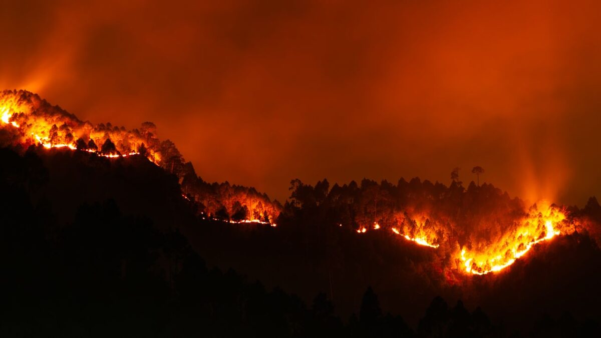 Um incêndio de carro fecha uma rodovia britânica por 11 dias: o custo de queimar 165 acres de charneca “mais rara que floresta tropical”