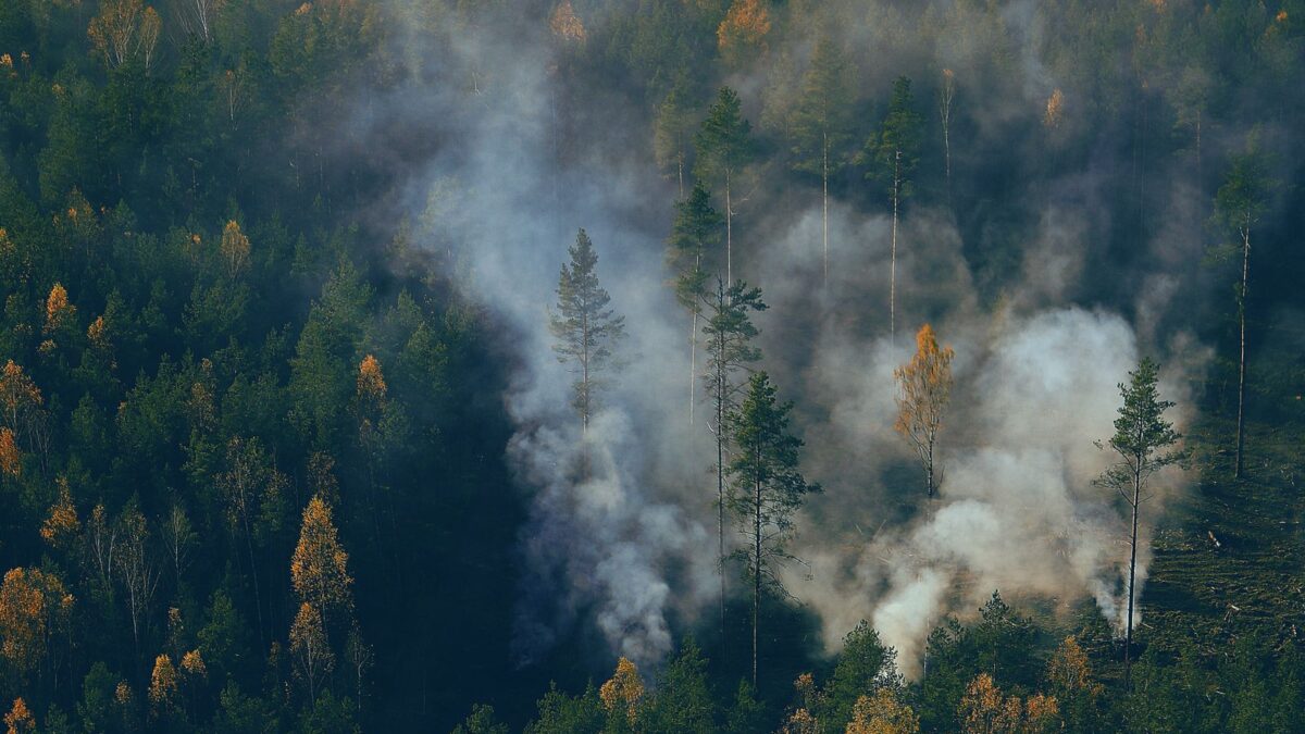 Canadá: 1,4 milhão de hectares queimados — e a aposta em brigadas lideradas pelos próprios povos indígenas