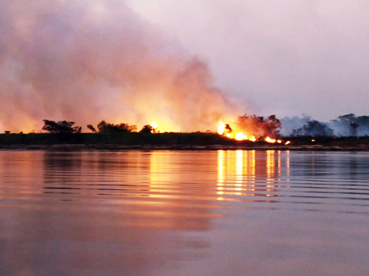 Queimada na região de Porto Esperança, no Pantanal