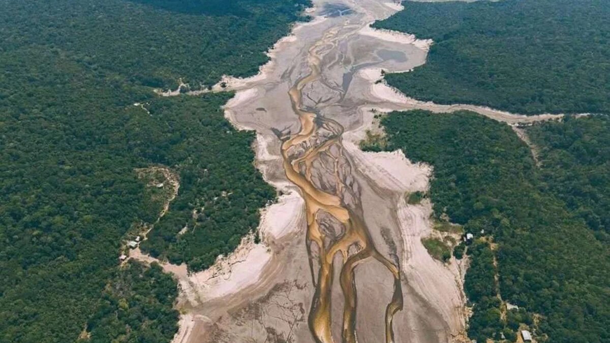 Amazônia se prepara para seca severa: 759 toneladas de ajuda pré-posicionadas antes de a vazante apertar